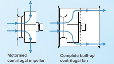 Performance Graph